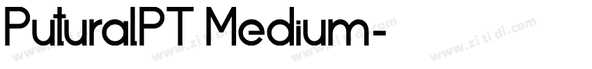 PuturalPT Medium字体转换